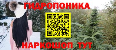 стафф Мариинск